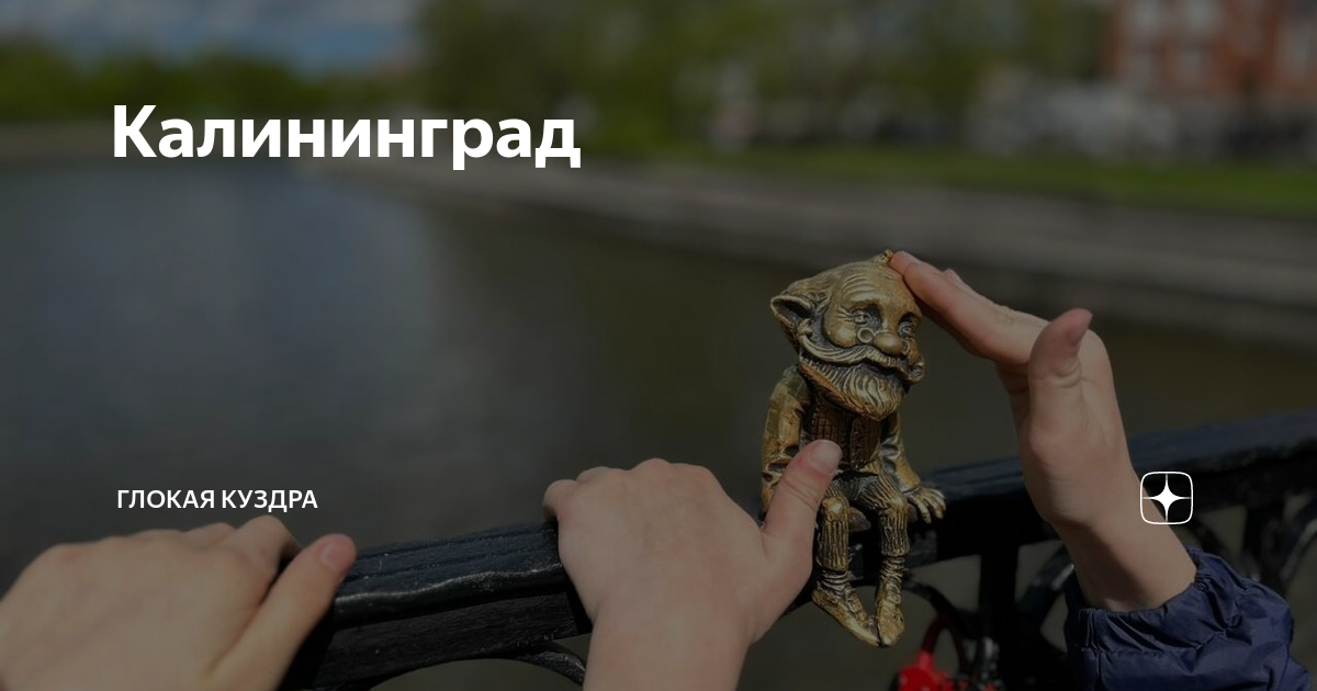Калининград | Глокая куздра | Дзен