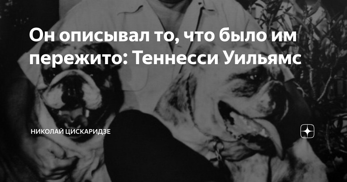 Он описывал то, что было им пережито: Теннесси Уильямс | Николай ...