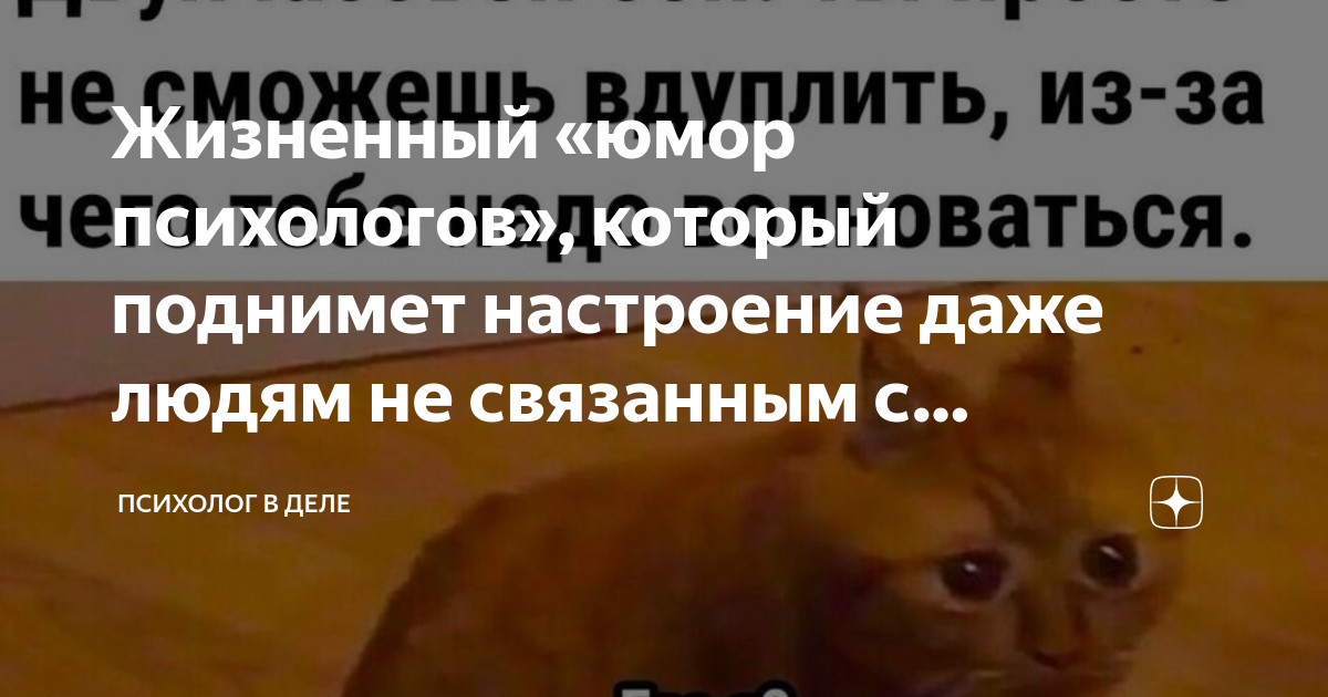 Жизненный «юмор психологов», который поднимет настроение даже людям не ...