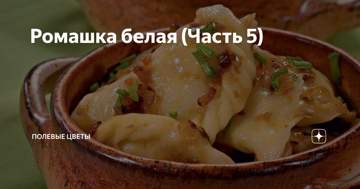 Ромашка белая (Часть 5) | Полевые цветы | Дзен