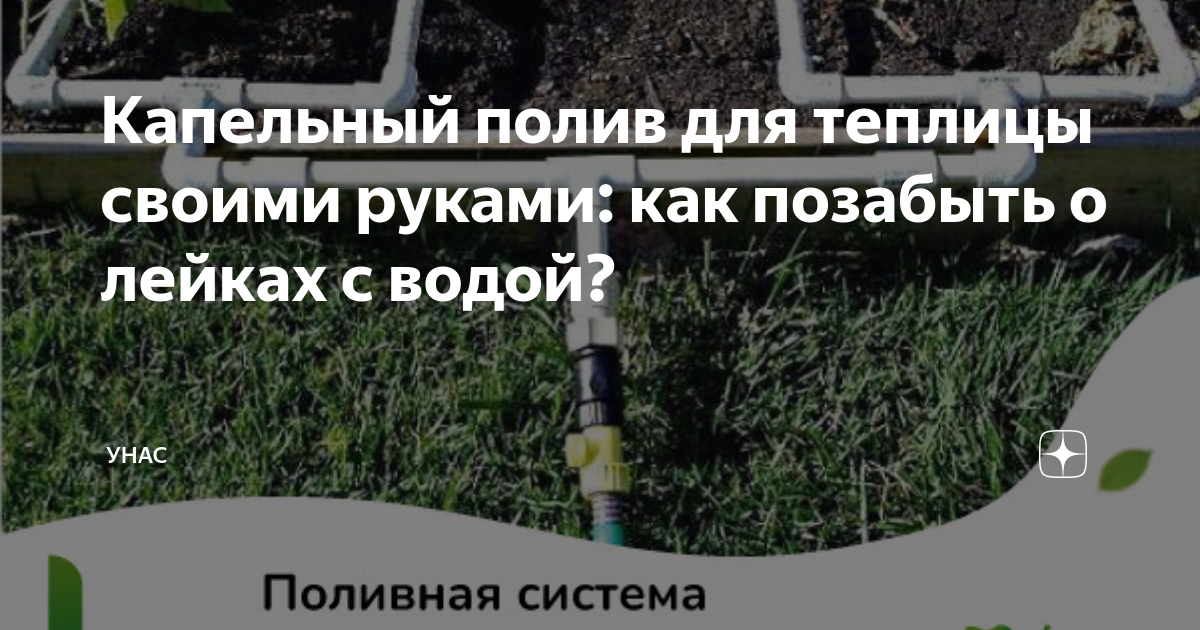 Капельный полив для теплицы своими руками: как позабыть о лейках с ...