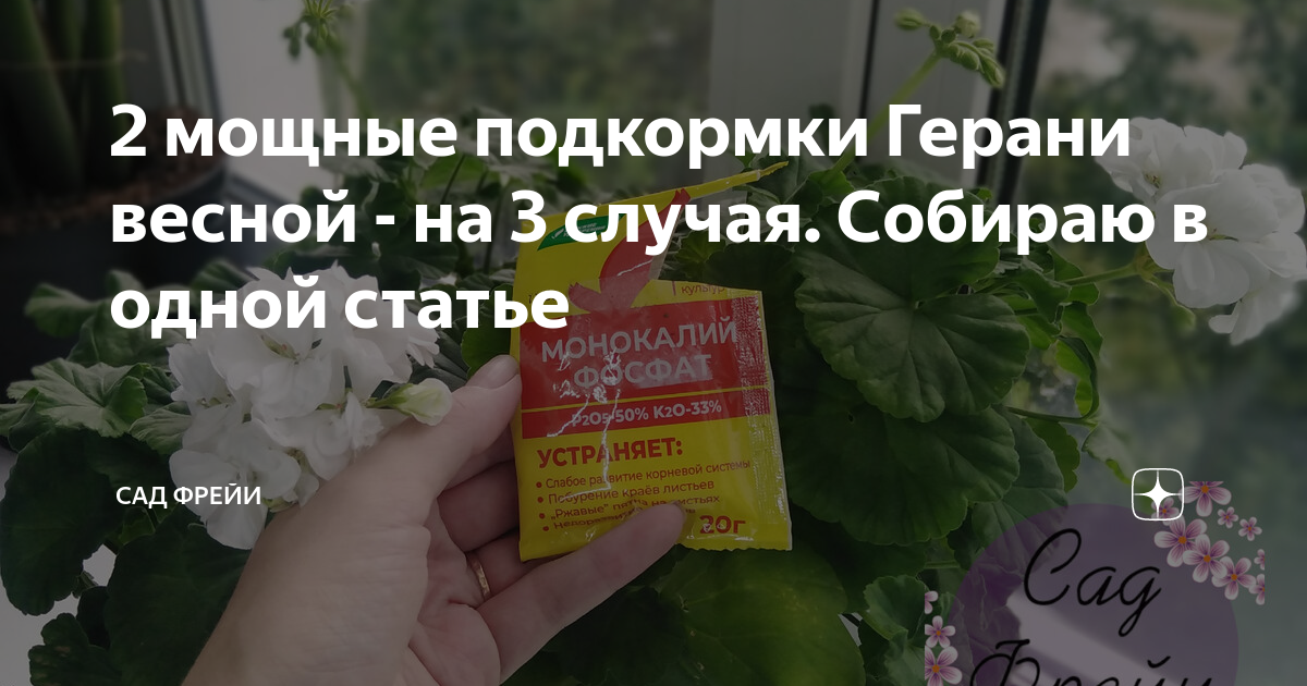 2 мощные подкормки Герани весной - на 3 случая. Собираю в одной статье ...