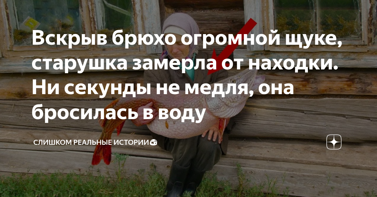 бабушка живет в поселке. бабушка живет в поселке. бабка в деревне. пенсионеры в деревне. бабушка живет в поселке.