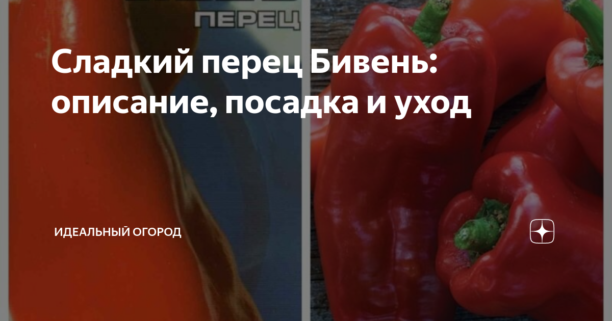 Сладкий перец Бивень: описание, посадка и уход | Идеальный огород | Дзен