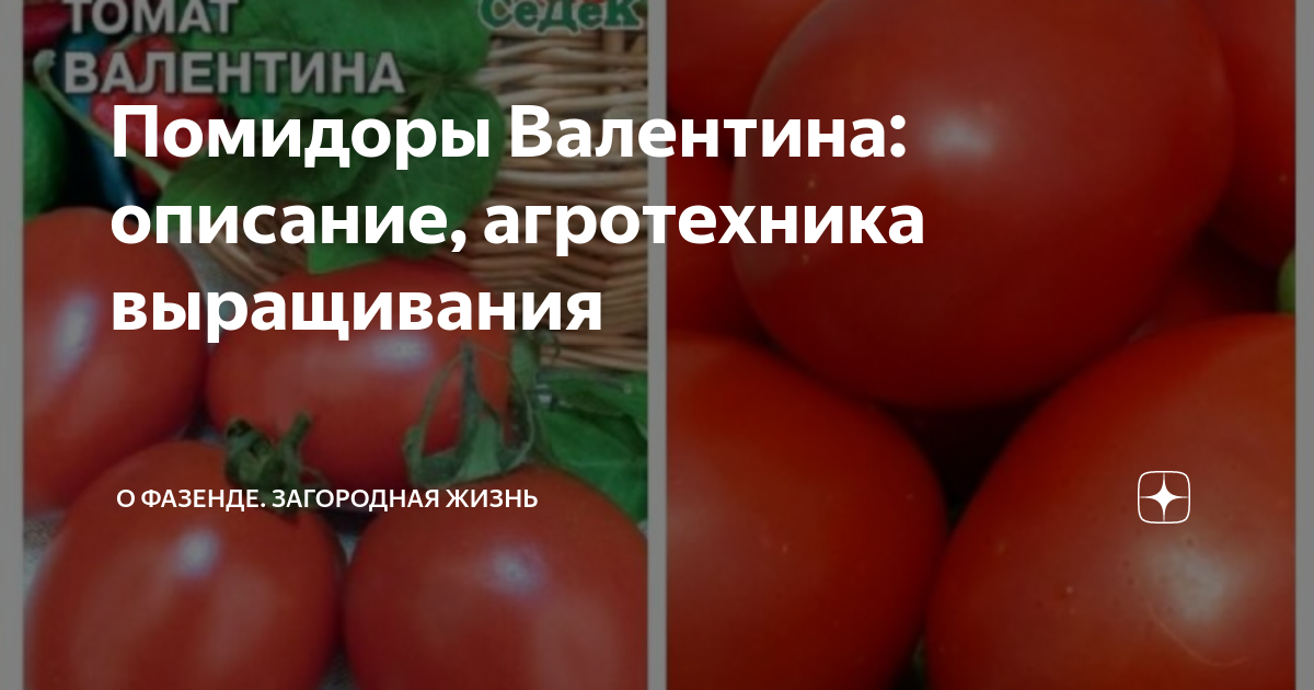 Лучшие сорта помидор без пасынкования для открытого грунта Моя успешная дача Дзе