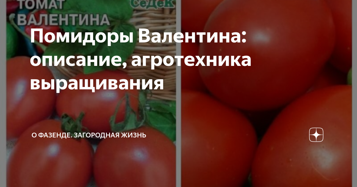 Помидоры - купить в Смоленске, цена 100 руб., продано 12 августа 2018 - Продукты