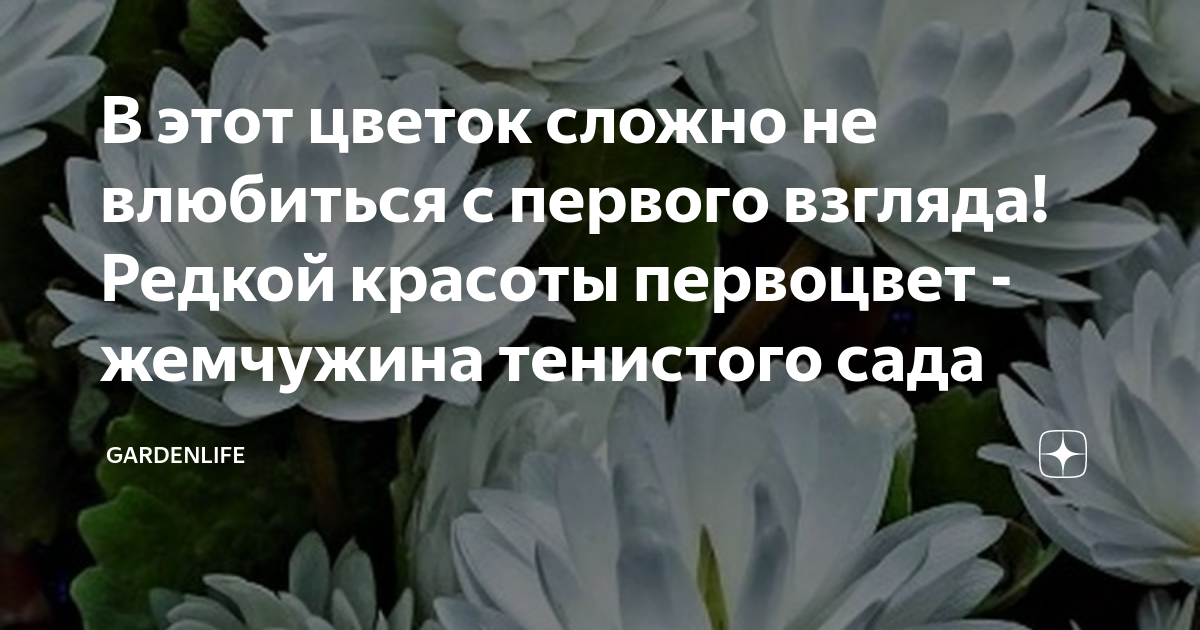 я влюбился в первый раз в цвет твоих красивых глаз название