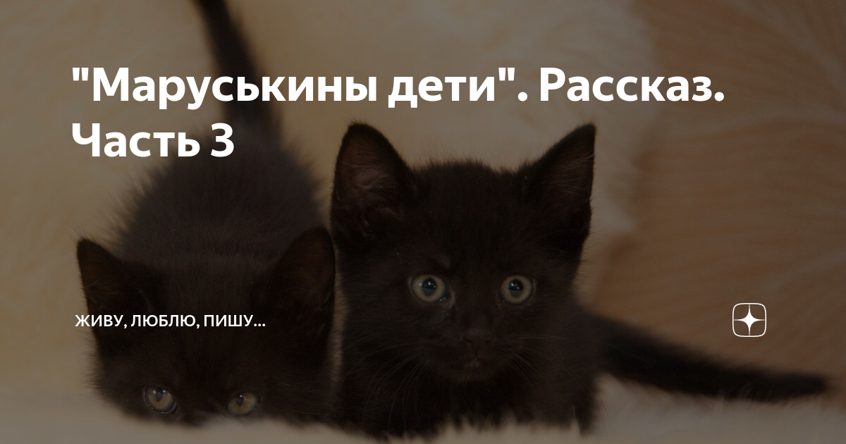 "Маруськины дети". Рассказ. Часть 3 | Живу, люблю, пишу... | Дзен