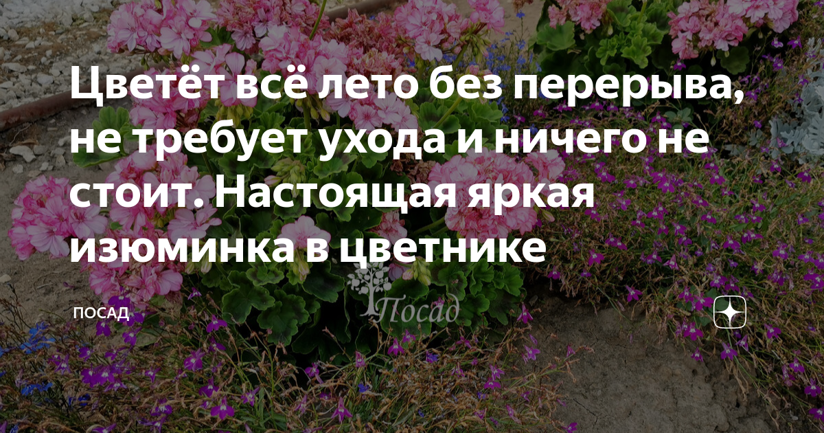 а мне всегда чего-то не хватает зимою лета осенью весны