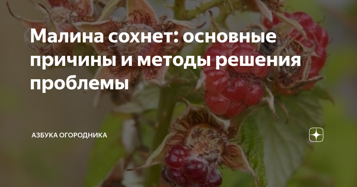 Причины:
