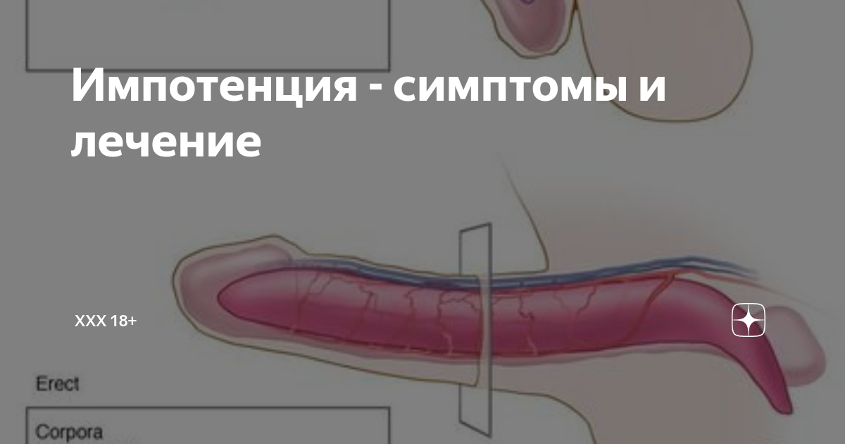 Импотенция: симптомы, причины, диагностика, лечение и профилактика