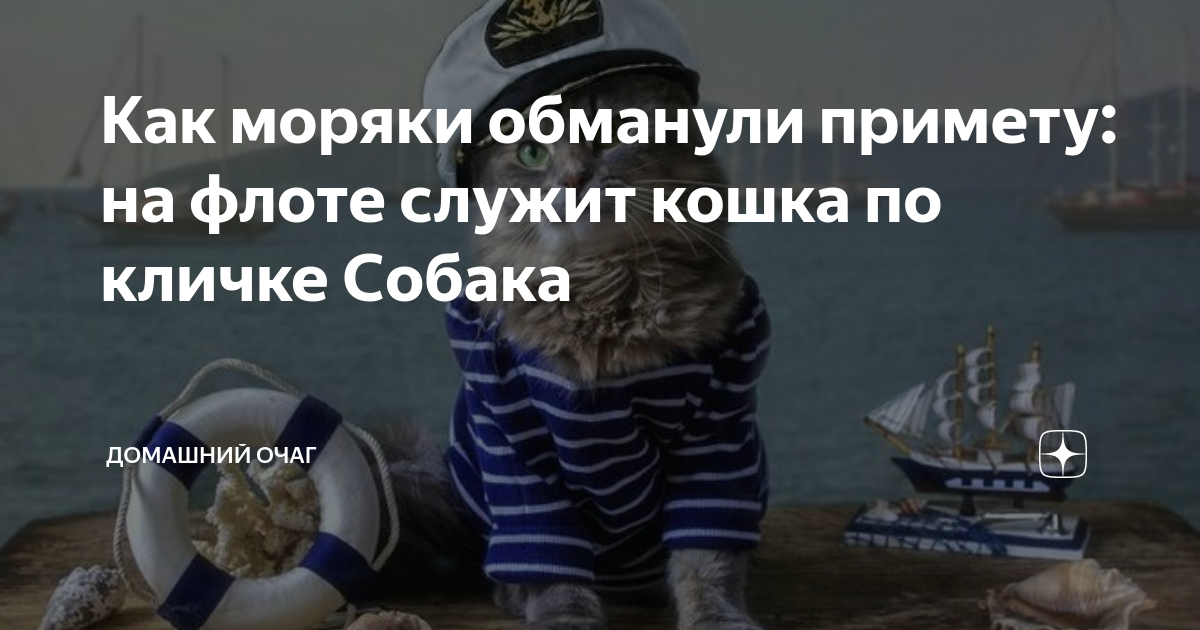 Животные на флоте могут быть самыми необычными