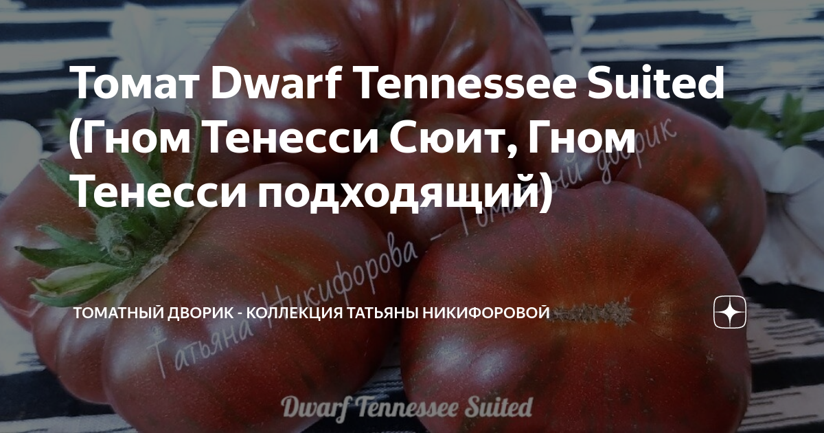 Томат Dwarf Tennessee Suited (Гном Тенесси Сюит, Гном Тенесси ...
