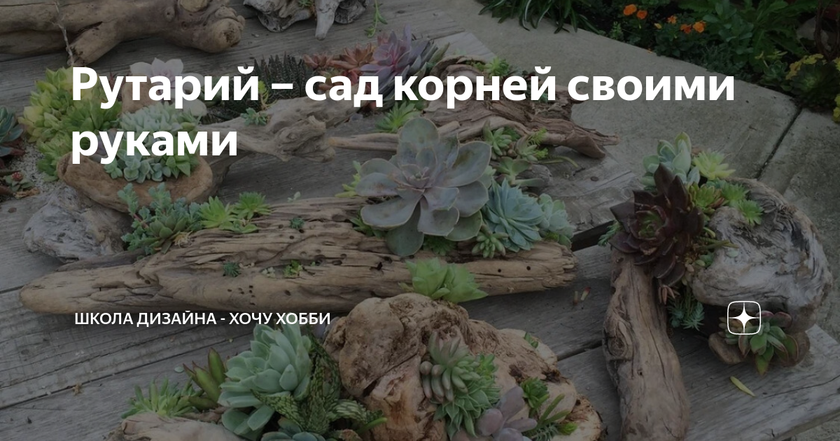 Рутарий – сад корней своими руками | Школа ландшафтного дизайна - Хочу ...