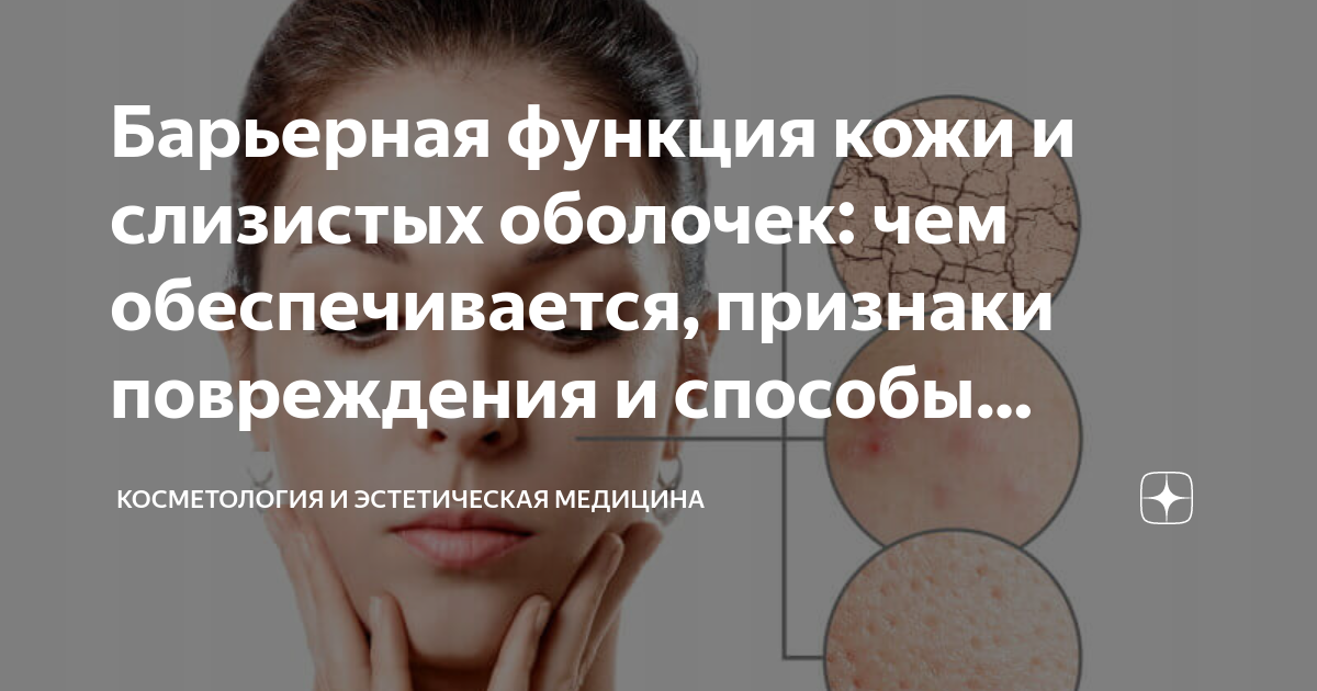 метод применения культивированных аллофибробластов. пилинг для лица. регенерация тканей. авен силькафат крем. эпидермальный липидный барьер.