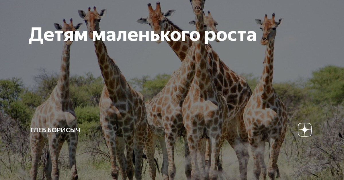 Детям маленького роста | Глеб Борисыч | Дзен