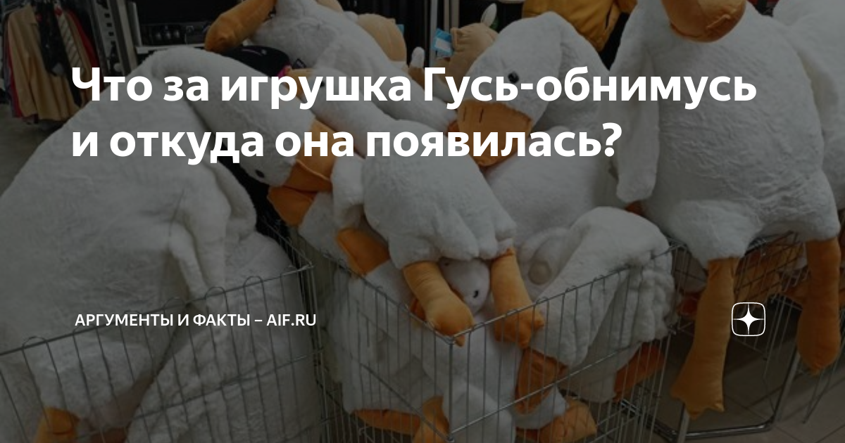Что за игрушка Гусь-обнимусь и откуда она появилась? | Аргументы и ...