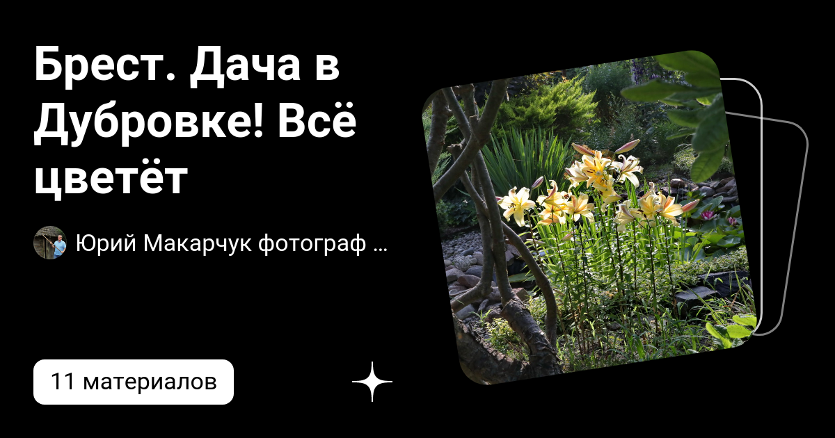 Брест. Дача в Дубровке! Всё цветёт