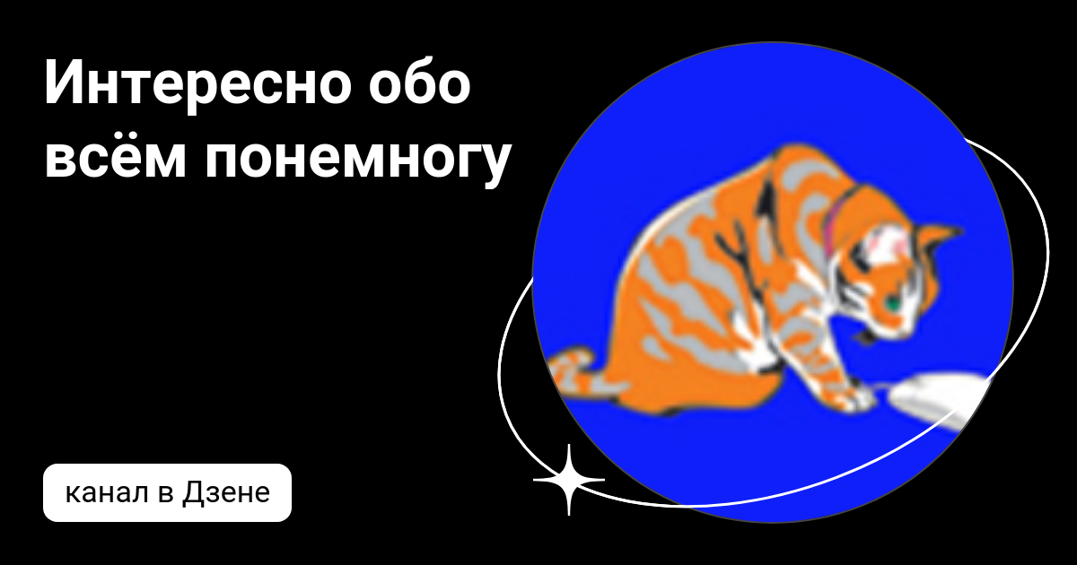 Интересно обо всём понемногу | Дзен