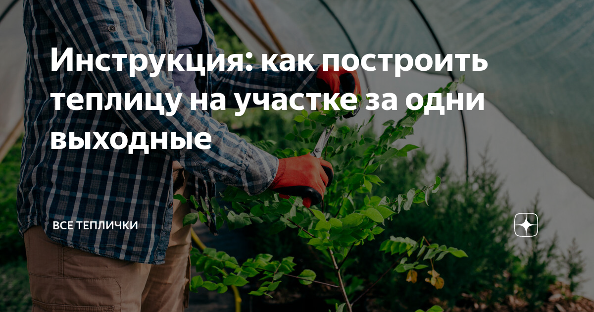 Как сделать теплицу из дерева своими руками, обзор вариантов деревянных теплиц - Город Теплиц