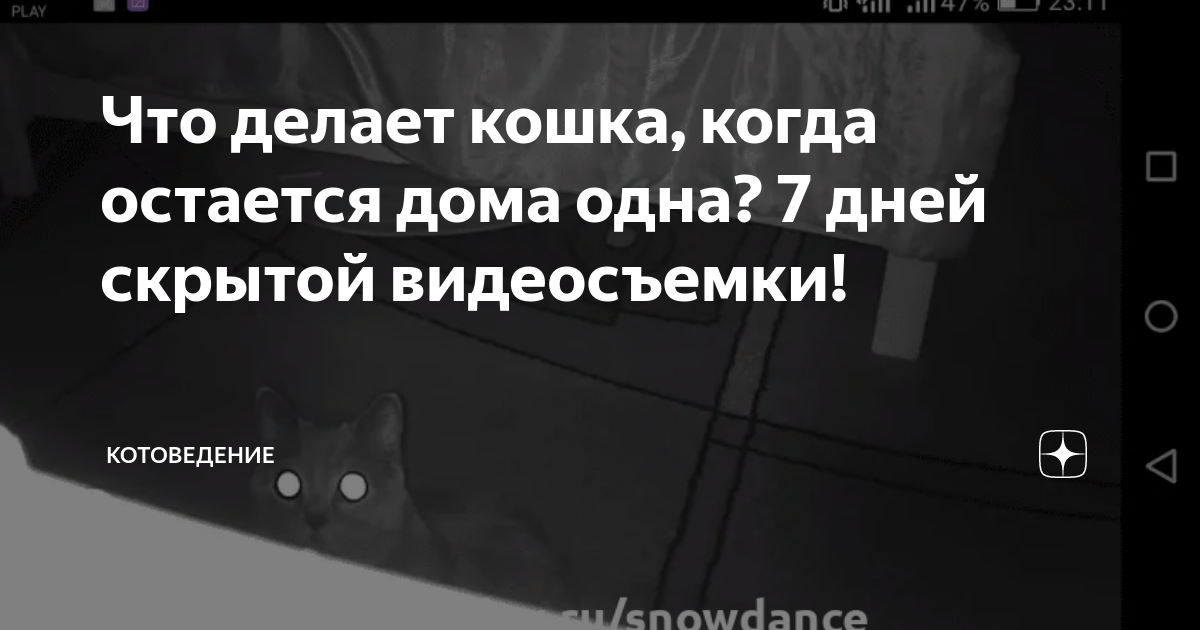 Вот что происходит когда девушка остается дома совсем одна