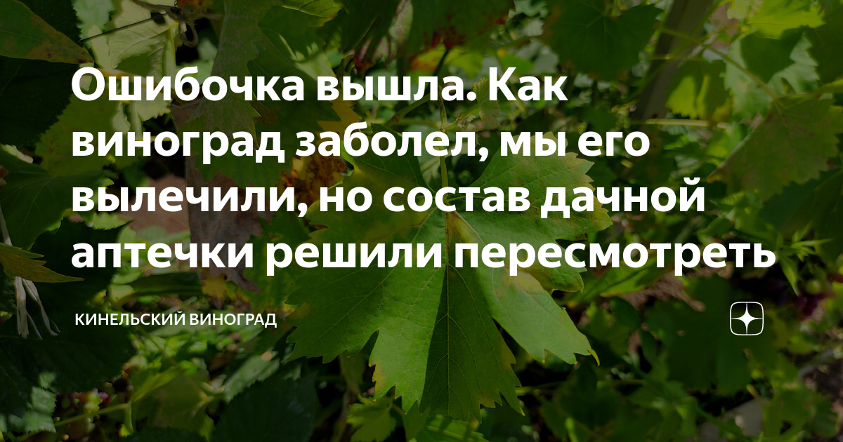 После винограда болит живот. После винограда болит живот. Болит желудок после винограда. После винограда болит живот. Виноградная диета.