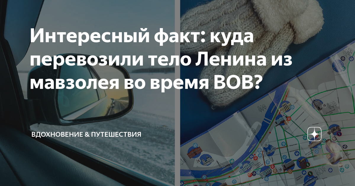 куда везти джеки. женщина додга лбеспечивать своегом удчину. животные в салоне самолета. джеки идо биография. ведьмина гора таксист.