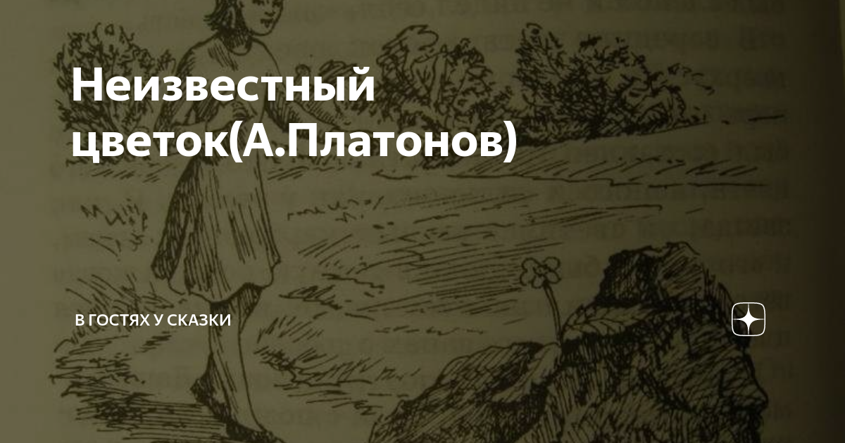 Самый неизвестный цветок. Какие душевные качества проявили ребята помогая неизвестному цветку. Иллюстрация к рассказу неизвестный цветок. Пересказ неизвестный цветок. Самый неизвестный цветок.