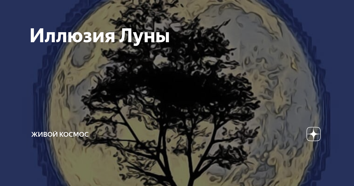 Иллюзия Луны | Живой Космос | Дзен