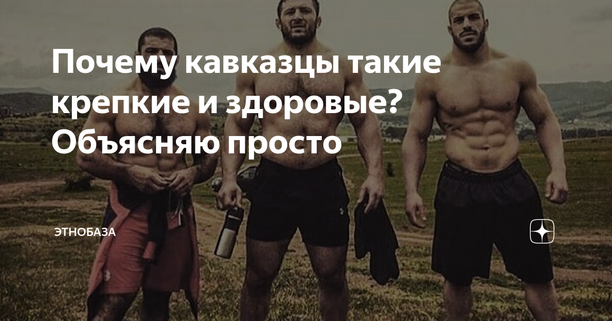 Почему кавказцы такие крепкие и здоровые? Объясняю просто | Этобаза | Дзен