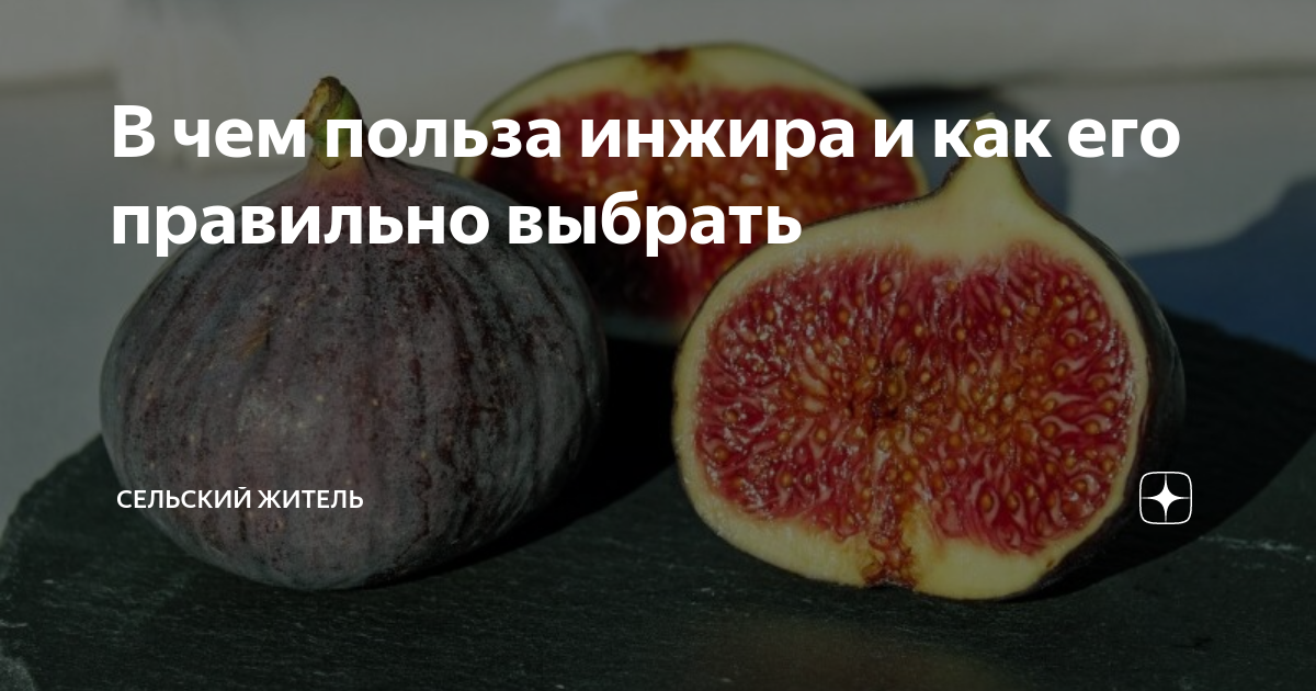 Как появляется инжир. Инжир польза. какая польза в инжире.