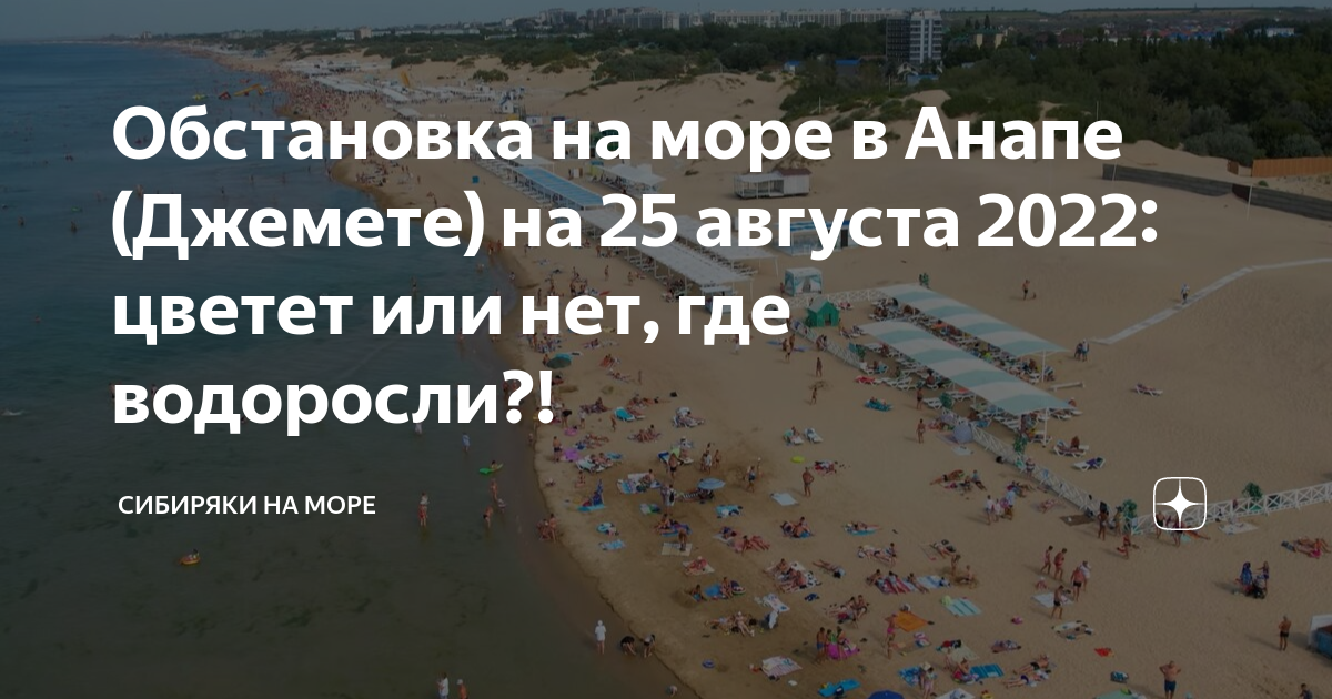 Погода в джемете на 10 дней 2024. В каком месяце цветет море в Джемете. Погода в Джемете август 2024.