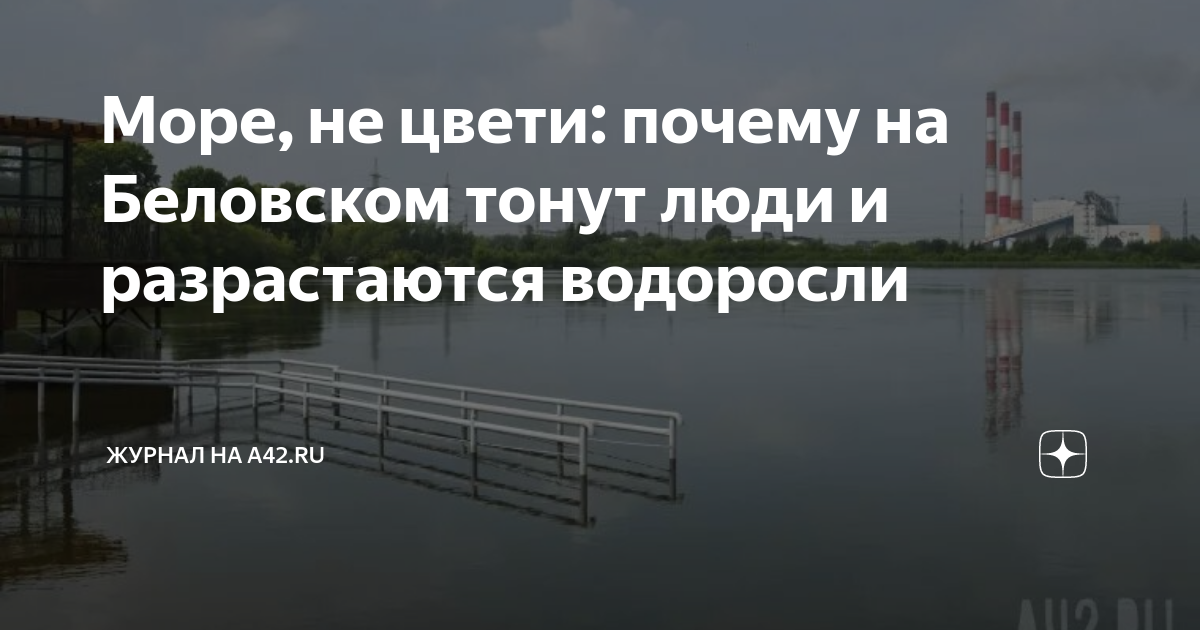 Море, не цвети: почему на Беловском тонут люди и разрастаются водоросли ...