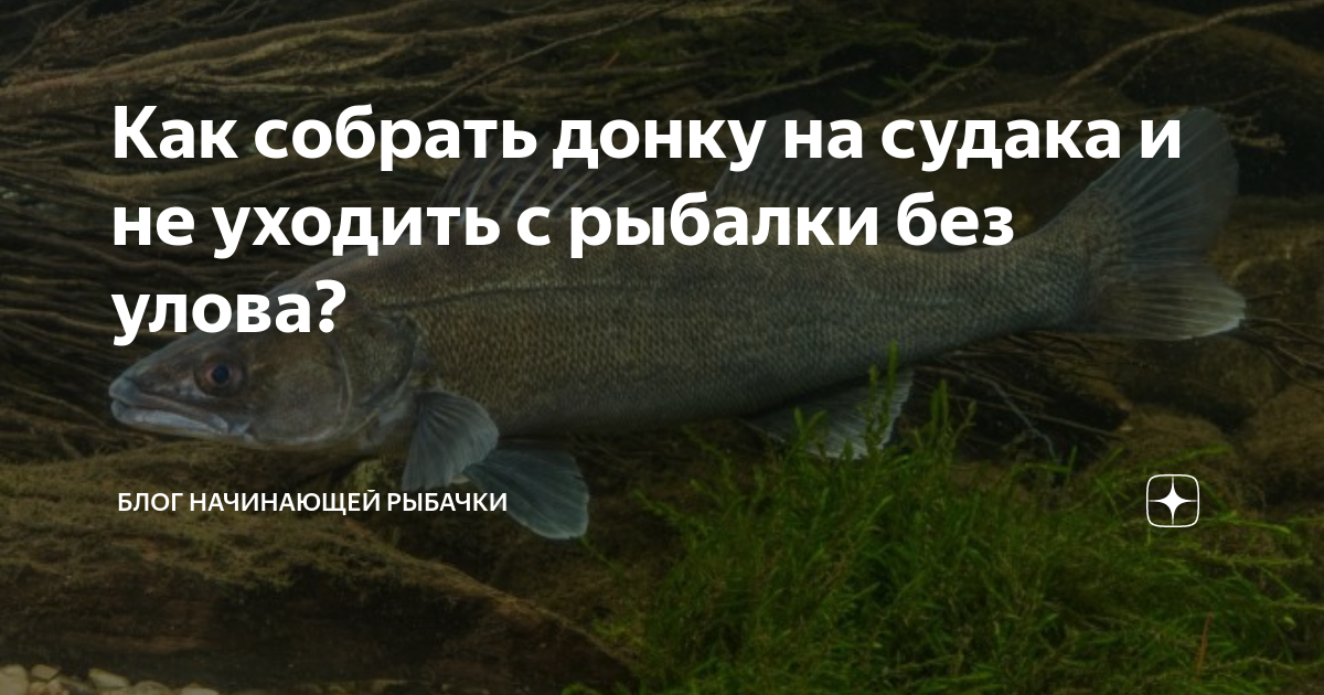 Как собрать донную снасть для судака в fishing planet