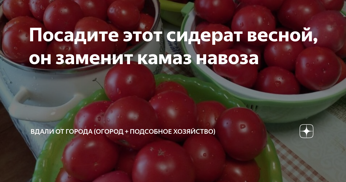 Как повысить урожай практическое руководство по приготовлению компоста и улучшению плодородия почвы