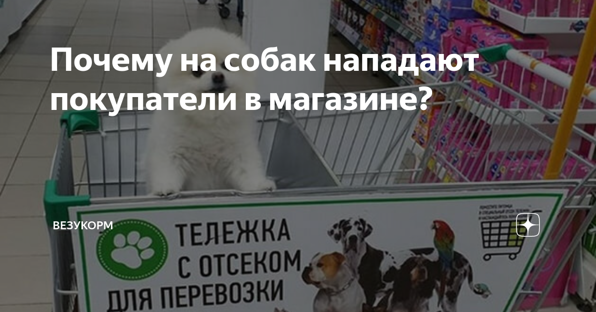 вход с собакой в магазин