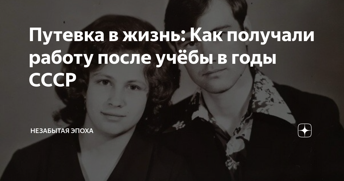 путевка в жизнь это