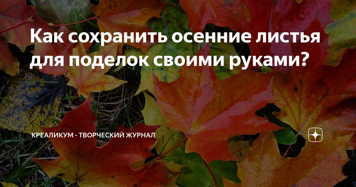 Как сохранить осенние листья яркими и надолго. Как сохранить осенние листья яркими и надолго