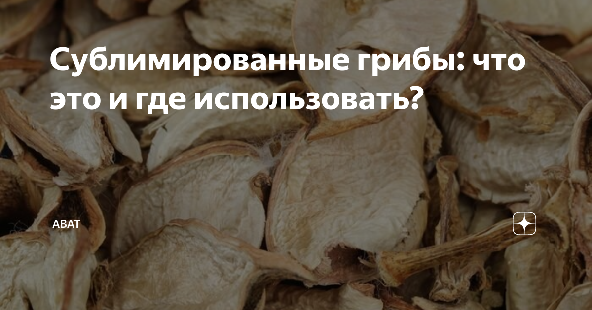 Сублимированные грибы: что это и где использовать? | Abat | Дзен