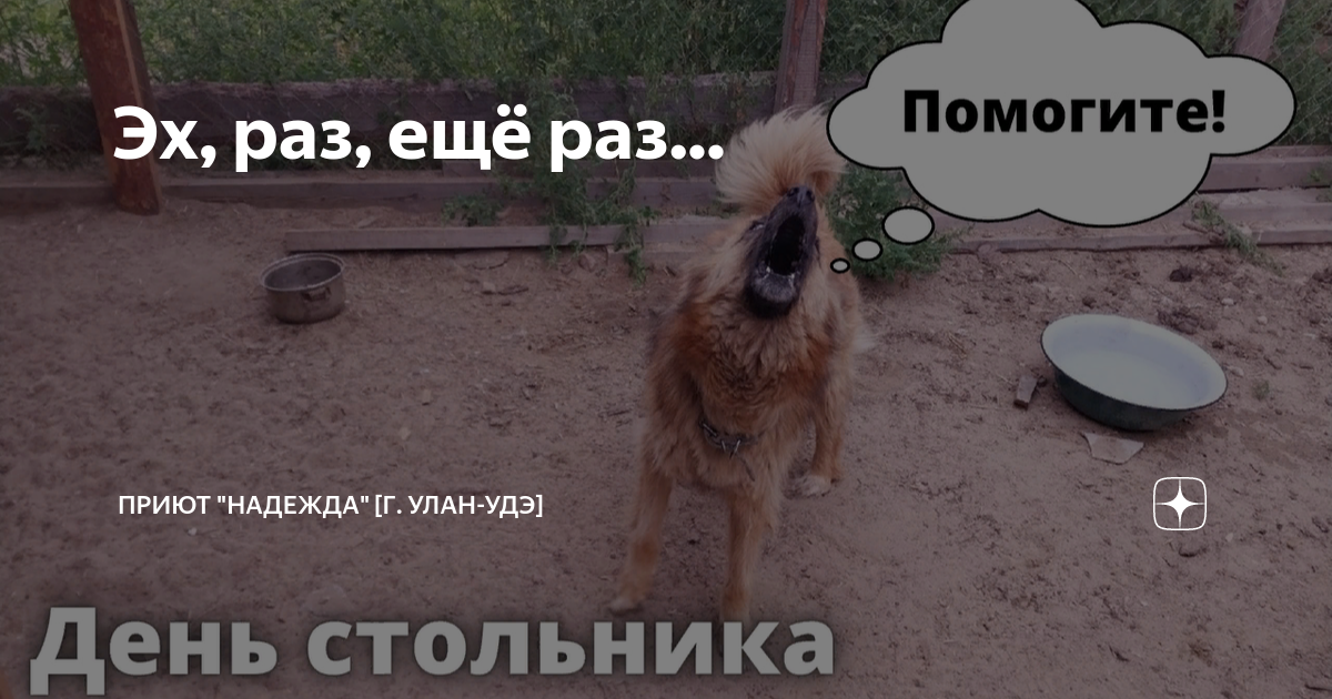 Эх раз мусору