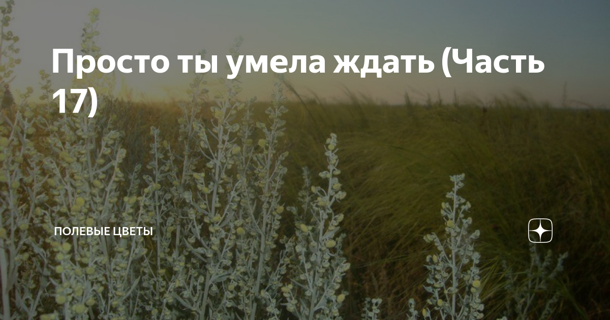 Просто ты умела ждать (Часть 17) | Полевые цветы | Дзен