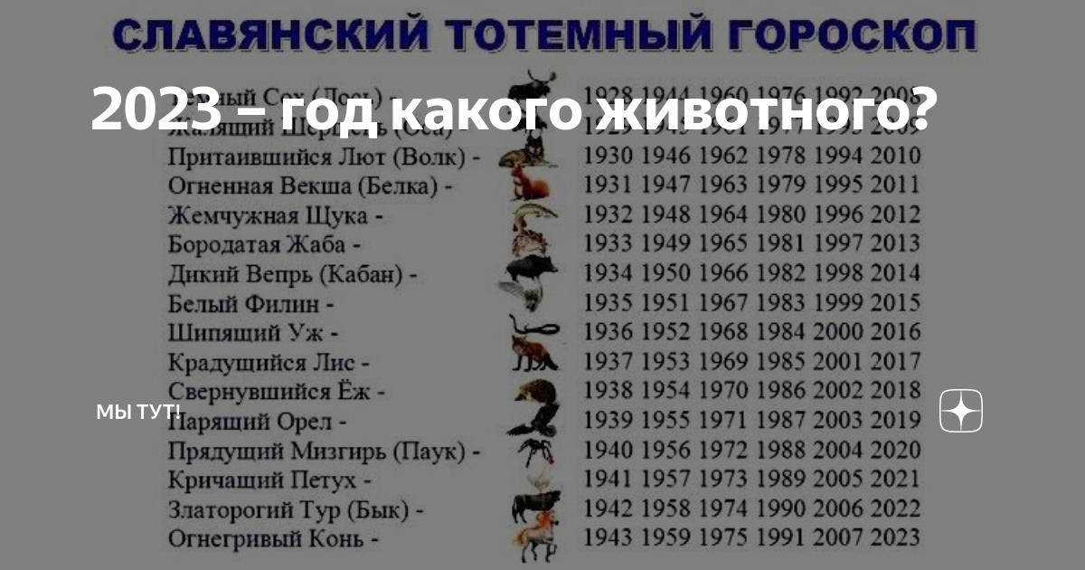 Год лошади какие года рождения таблица 2023 - год какого животного? Мы тут! Дзен