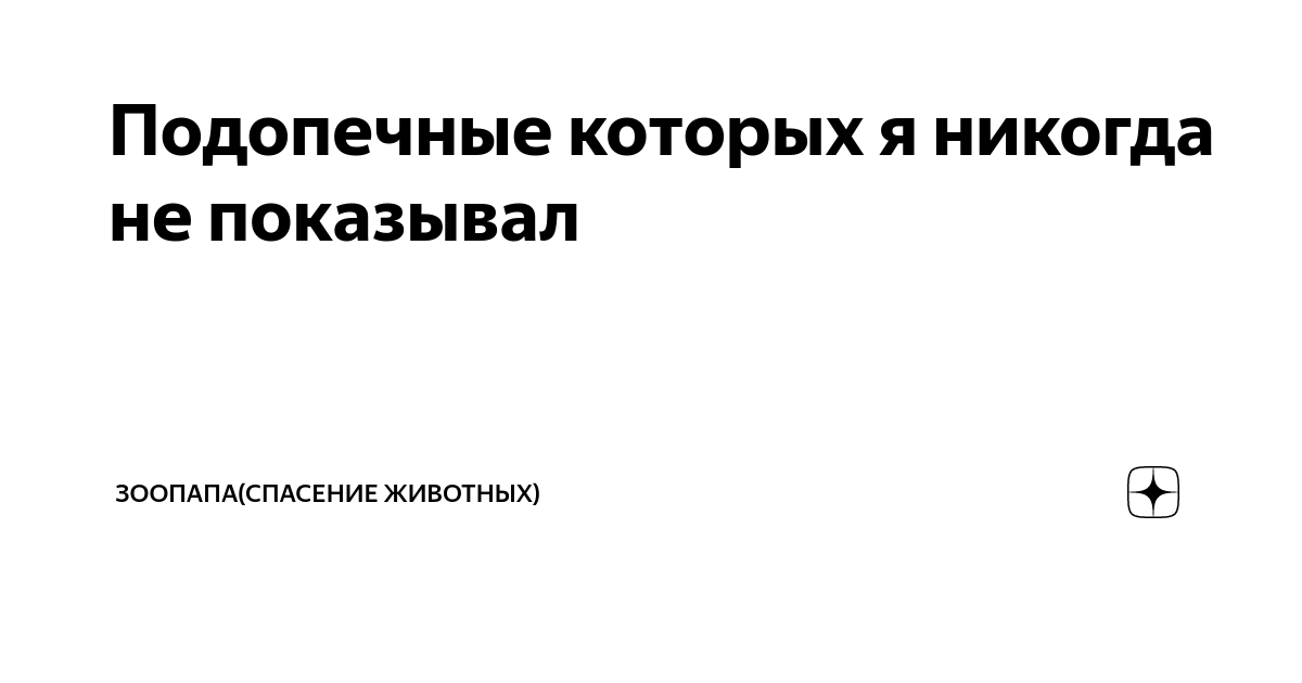 Зоопапа спасение животных. Зоопапа спасение животных