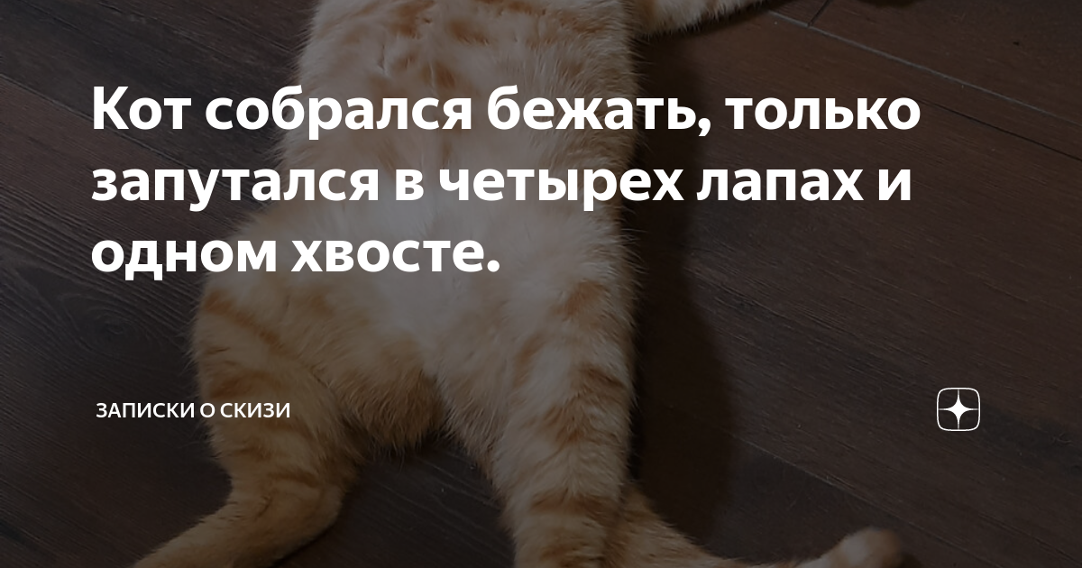 вот и все пару лет коту под хвост