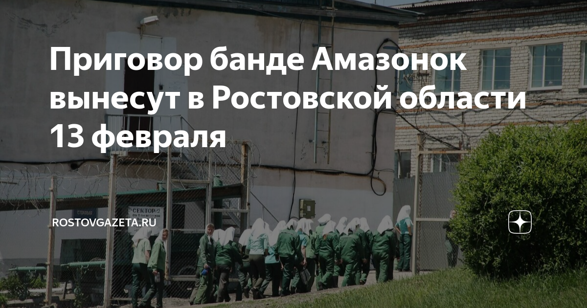 Банда амазонок в ростовской области фото