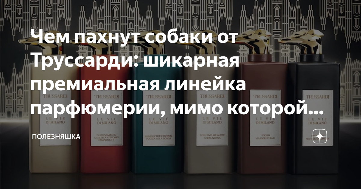 Премиальная линейка хендай