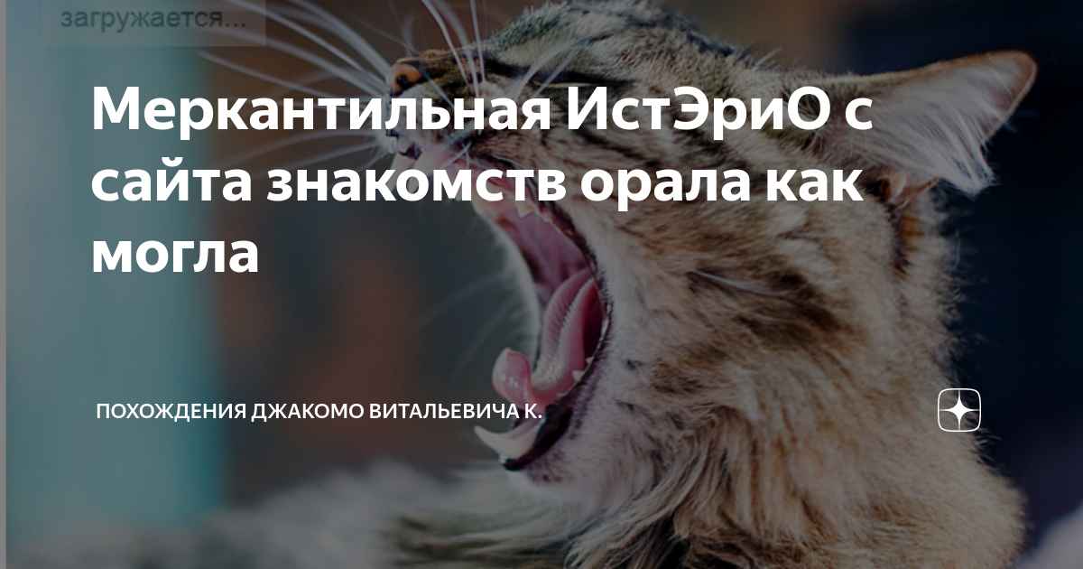 меркантильная рассказ на дзен глава последняя