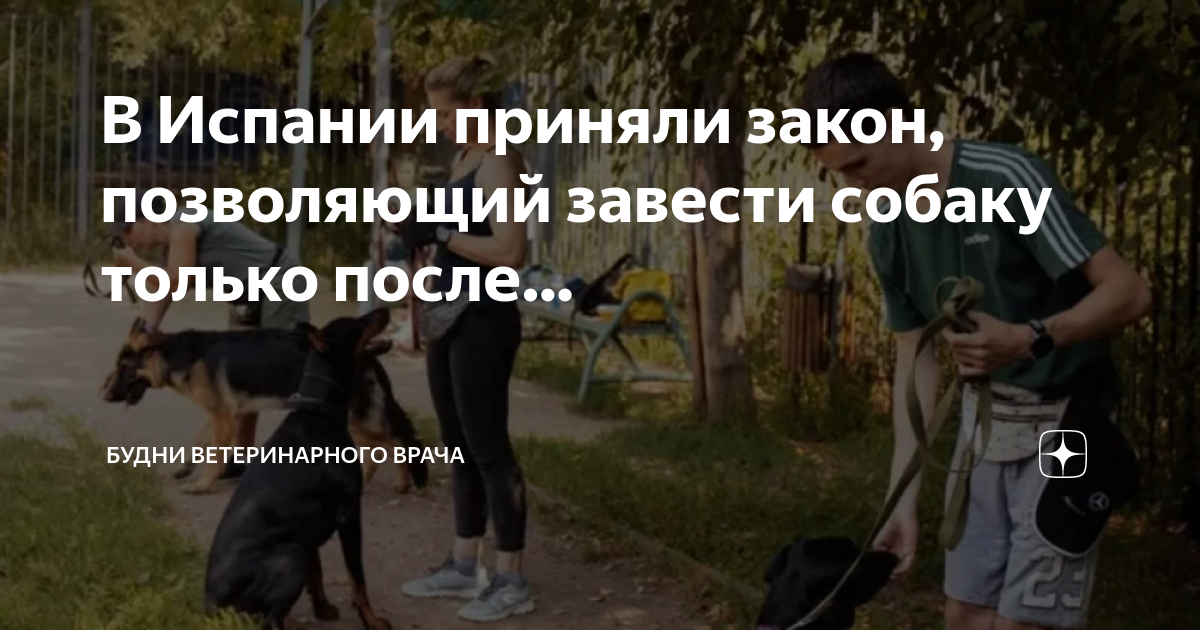 закон принятый в испании