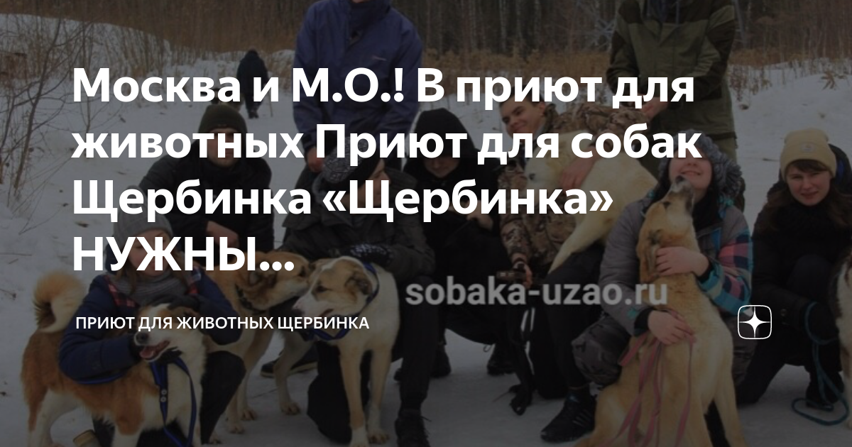 приют для животных в щербинке официальный сайт. приют для животных щербинка. щербинка м. приют для собак щербинка.