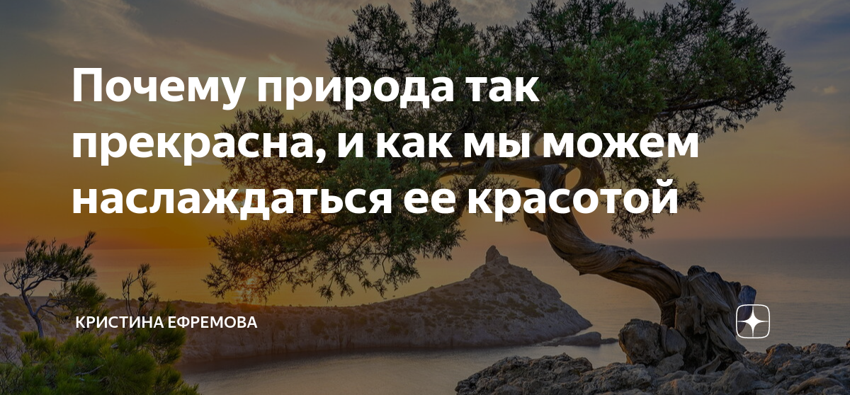 Законы природы вечны. Ищи прекрасное в каждом. Почему все созданное природой можно считать шедевром.